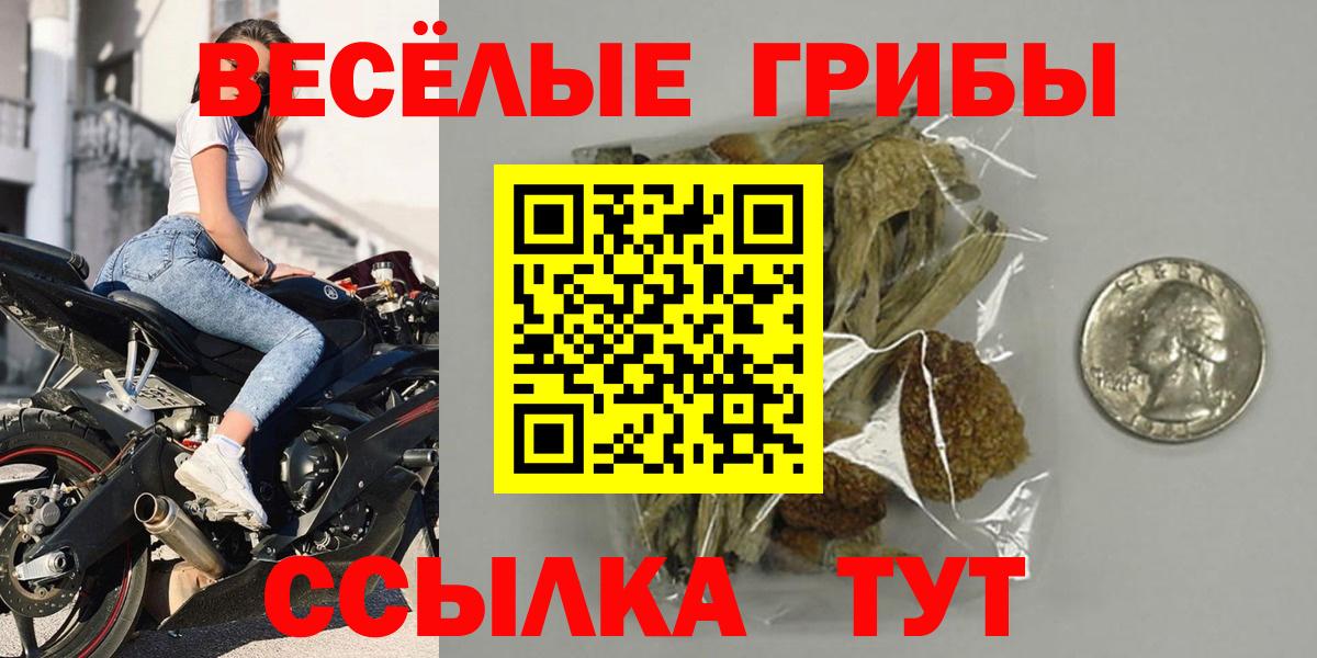 Галлюциногенные грибы Psilocybine cubensis Ярославль