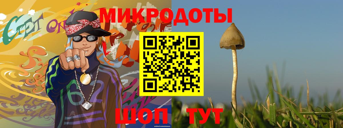Галлюциногенные грибы Psilocybine cubensis  Вход с VPN  Ярославль  Галлюциногенные грибы MAGIC MUSHROOMS 
