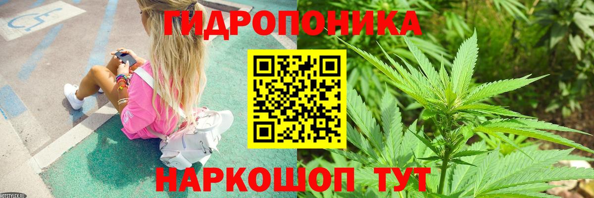 Бошки марихуана гибрид Ярославль